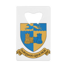 County Longford Irlanda