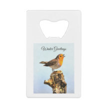 Saudações de Inverno. Robin cantando