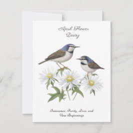 Abril Mês da Flor Daisy Cerejou Aniversário