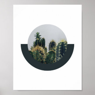 Abstrato Cactus Poster 2 | 8x10