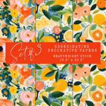 ABSTRATO CITRUS E CONJUNTO DE PAPEL DECORATIVO FLO