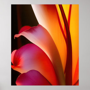 Abstrato Floral Rosa Rosa Rosa Rosa, Poster