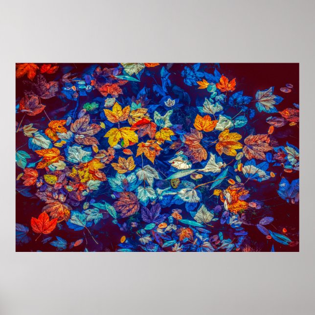 abstrato folhas poster (Frente)