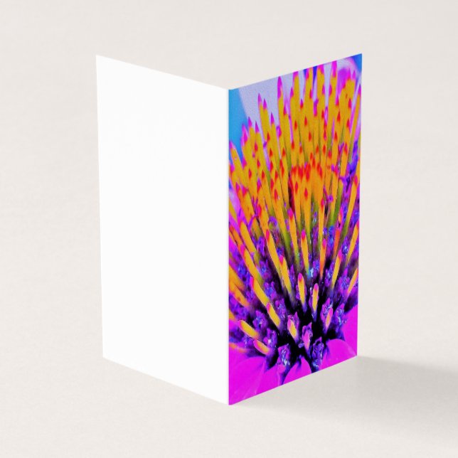 Abstrato Macro Rosa Quente e Amarelo Coneflower (Exterior)