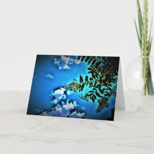 Abstrato Sky, cartão