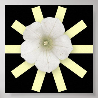 Abstrato Water Lily Poster