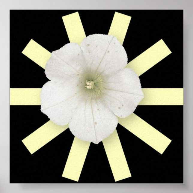 Abstrato Water Lily Poster (Frente)