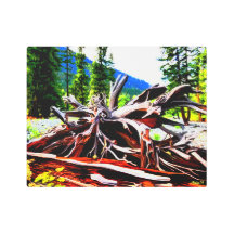 Acampamento vermelho No.3 da montanha