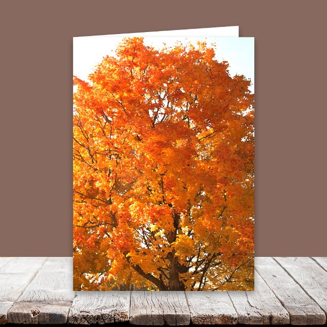 Ação de Graças através das Cartões de Milhas (Criador carregado)