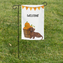 Ação de Graças Dachshund