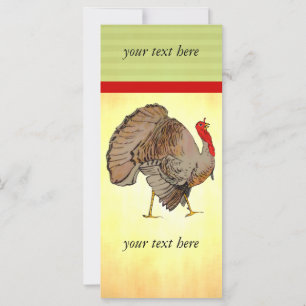 Ação de Graças de Cor do cheio na Turquia