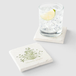 Acetabularia Porta copos de Pedra de Algas