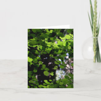 Acima no cartão de nota das árvores