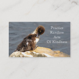 Acoplamento Muscovy - Cartões RAOK (Tamanho Cartão