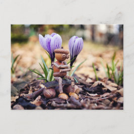 Acorn elf à espera do cartão postal primavera