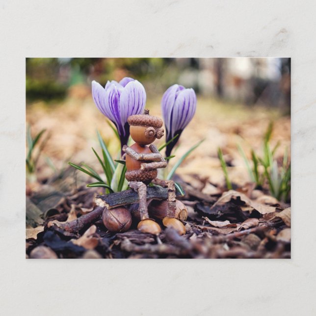 Acorn elf à espera do cartão postal primavera (Frente)
