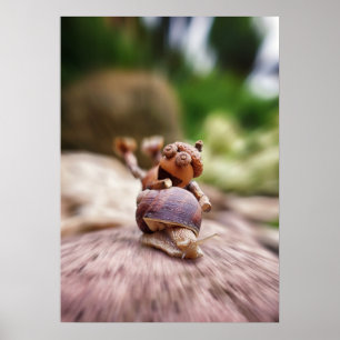 Acorn elf cavalgando na poster de caracol