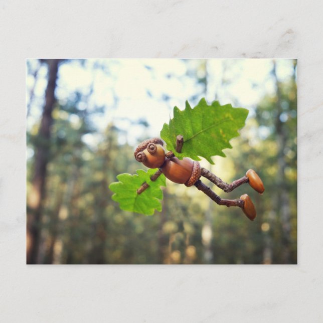 Acorn elf Ikaros flyer - cartão postal (Frente)