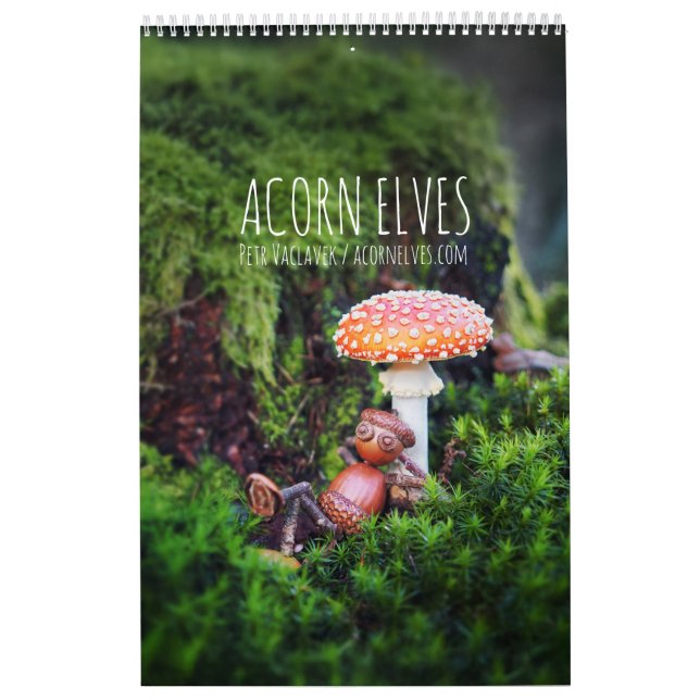 Acorn Elves / Calendário fotográfico Dubanci (Capa)