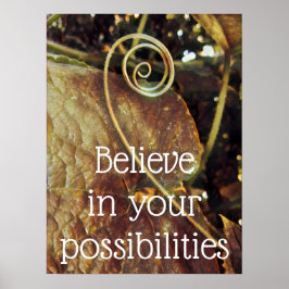 Acredite em suas possibilidades Poster