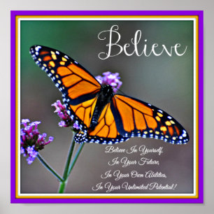 Acredite o poster da borboleta