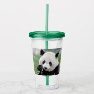 Acrílico Copo de acrílico. Panda gigante fotográfico, pan