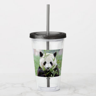 Acrílico Copo de acrílico. Panda gigante fotográfico, pan