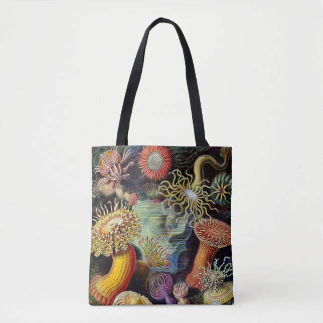 Actiniae por Ernst Haecke Tote Bag (Frente)