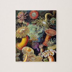 Actiniae por Ernst Haeckel Jigsee Quebra-cabeça