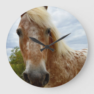 Açúcar Do Cavalo Appaloosa, Grande Relógio De P
