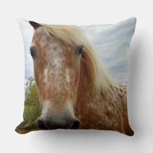 Açúcar O Cavalo Appaloosa, Grande Almofada de Arre