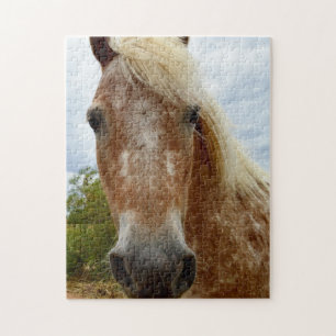 Açúcar O Cavalo Appaloosa, Quebra-cabeça de Jigser