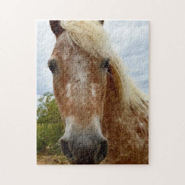 Açúcar O Cavalo Appaloosa, Quebra-cabeça de Jigser (Vertical)