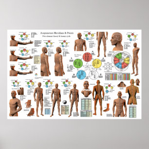 Acupuntura Locais de Ponto Meridiano Poster