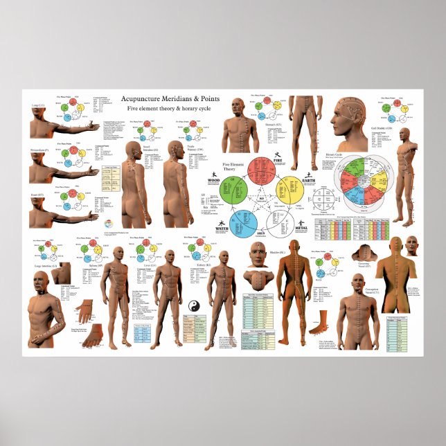 Acupuntura Locais de Ponto Meridiano Poster (Frente)