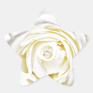 Adesito Estrela A Rosa Branca do Amor