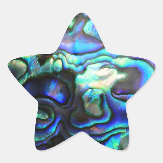 Adesito Estrela Abalone pausa shell (Frente)