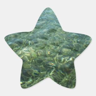 Adesito Estrela Água sobre Grama Marinha I Natureza Caribenha