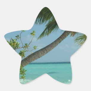 Adesito Estrela Areia de Praia Tropical Sol Água Ondas do Oceano A