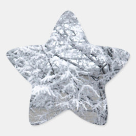 Adesito Estrela Árvore de Neve
