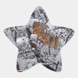 Adesito Estrela Árvore de Neve de Esquilo