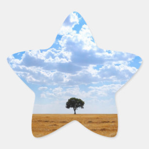 Adesito Estrela Árvore num campo de trigo colhido