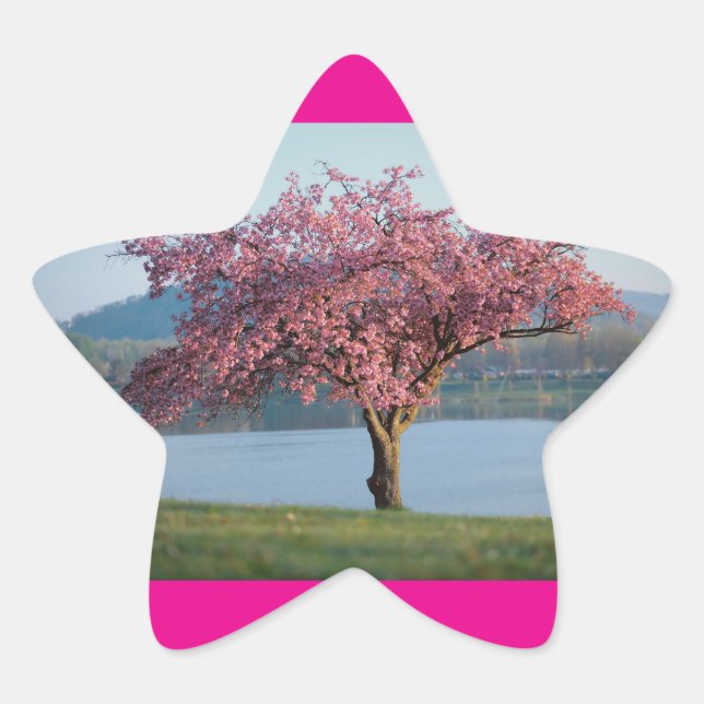 Adesito Estrela árvores em flor (Frente)