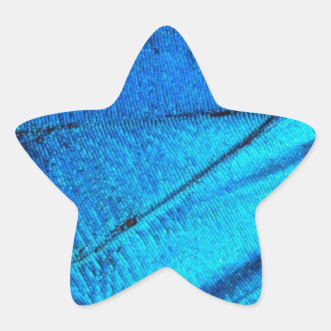 Adesito Estrela Asa Azul Iridescente da Borboleta (Frente)