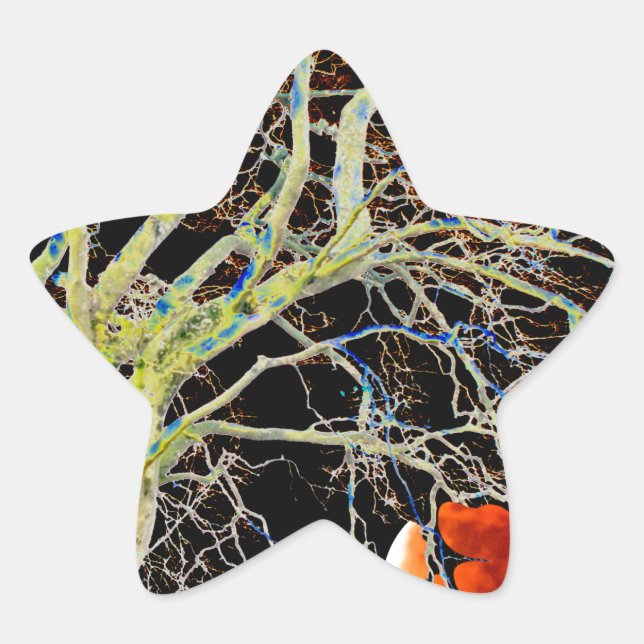 Adesito Estrela Ascensão da Lua Vermelha (Frente)