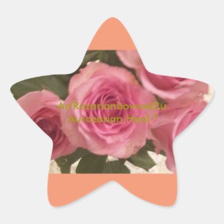 Adesito Estrela Aurozarian Heal"