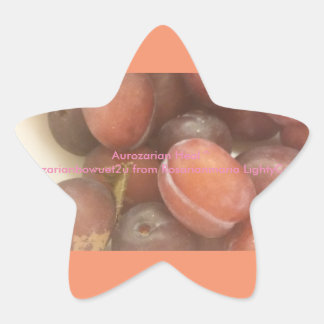 Adesito Estrela Aurozarian Heal ^