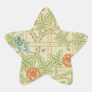 Adesito Estrela Aves e Flores Trellis William Morris