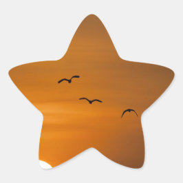 Adesito Estrela Aves voando no pôr do sol