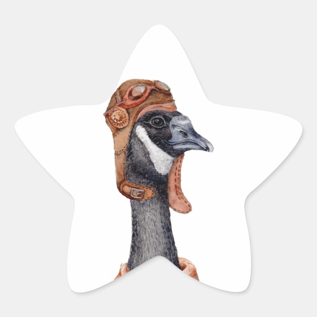 Adesito Estrela Aviator Goose (Frente)